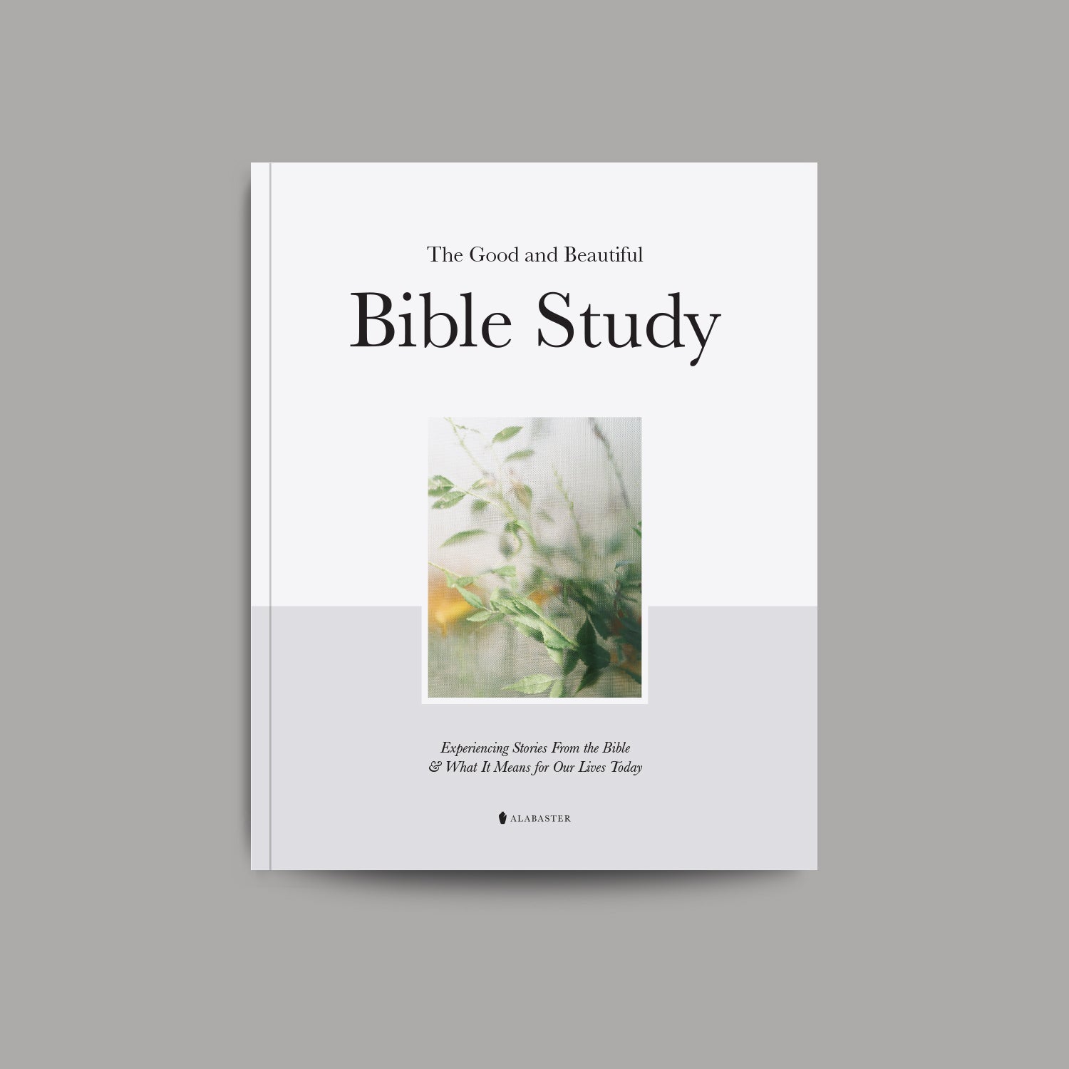 The Good and Beautiful Bible Study - Volume 1 – Alabaster Co Canada